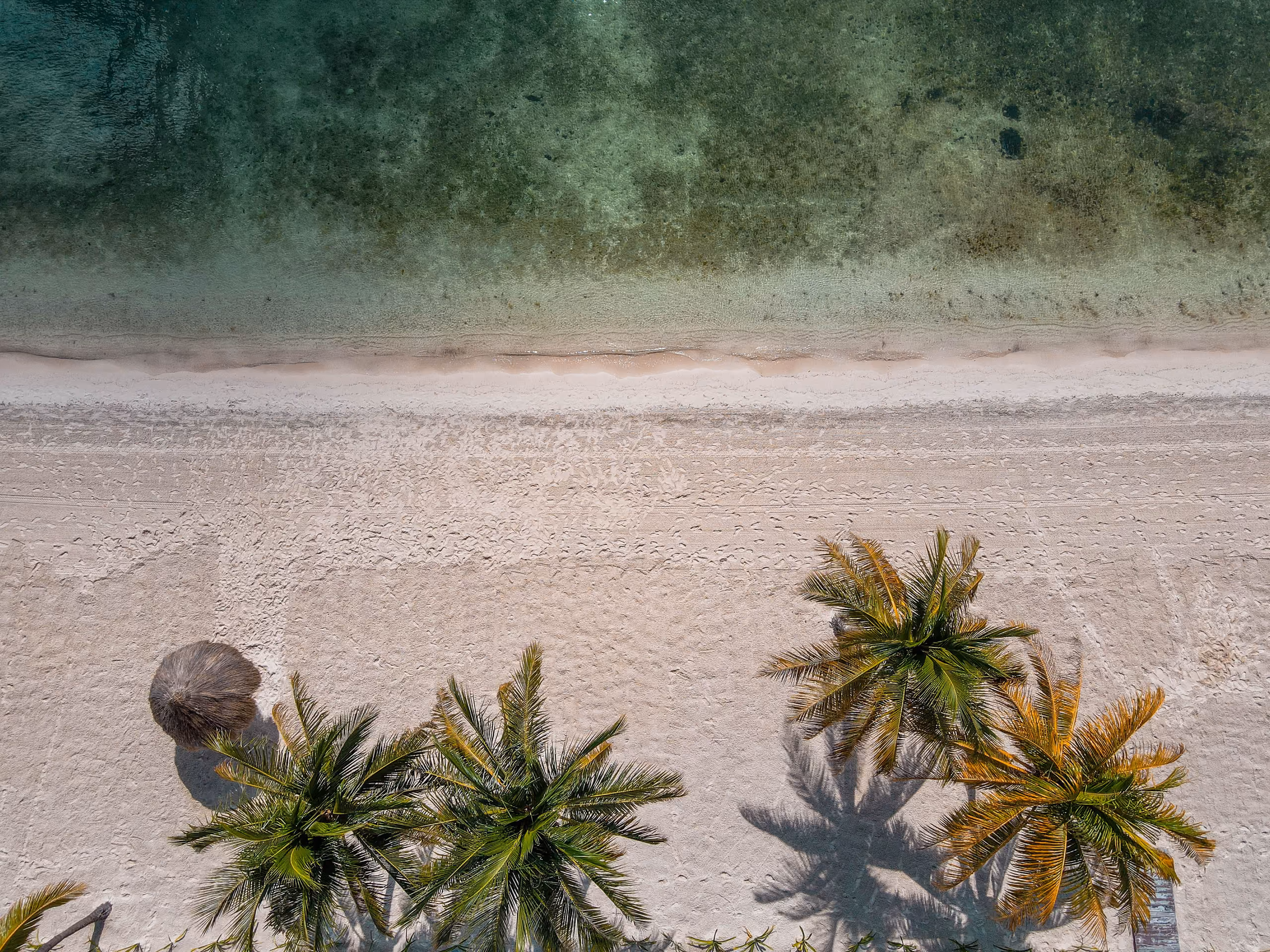 Puerto Escondido coastline