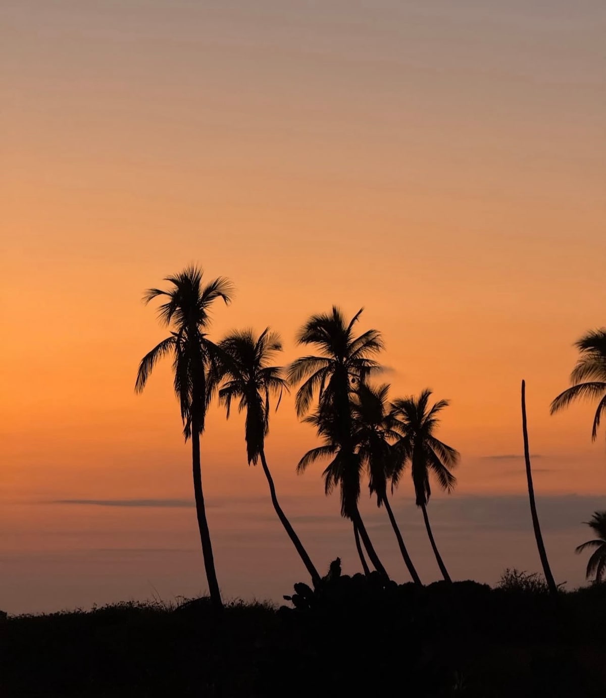 The Hidden Costs of a Puerto Escondido Vacation Rental (And How to Avoid Them)
